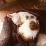 Brian Strachan - @strachan6977 - Instagram