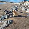 Brian Strachan - @brian.strachan6 - TikTok