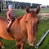 Brian Stahl - @brianstahl65 - TikTok
