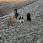 Brian Strang - @strang_brian - Instagram