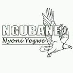 Brian Stranger - @brian_ngubs - Instagram
