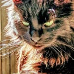 Brian Strangman - @brianstrangman - Instagram
