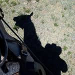 Brian Strauch - @bastrauch - Instagram