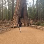 Brian Straughn - @brstraughn - Instagram