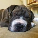 Brian Strauss - @method_zero_design_ - Instagram