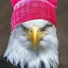 Brian Strauss - @30189061041 - TikTok