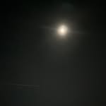 𝕭𝖗𝖎𝖆𝖓 - @brianstraw789 - Instagram