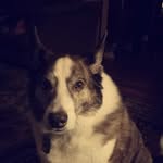 Brian Strawhacker - @brian__strawhacker - Instagram