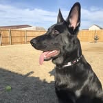 Brian Strawderman - @b.straw84 - Instagram