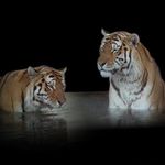 Brian Strawser - @brian.strawser.94 - Instagram