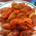 Brian Stringer - @stringer5160 - Instagram