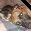Brian Strohl - @brian.strohl1 - TikTok