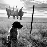 Brian Strum - @brian.strum - Instagram