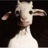Brian Styers - @brianstyers1 - TikTok