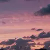 brian sugrue - @brian.sugrue7 - TikTok