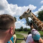Brian Swallow - @brian.swallow.549 - Instagram