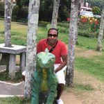 Brian - @brianswiss - Instagram