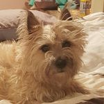 airbt - @briantallent - Instagram