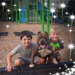 brian tallent - @tallent_brian - Instagram
