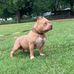 Brian Tallent - Facebook