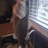 Brian Tatum - @brian.tatum64 - TikTok