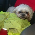 Brian Tennison - @briantennison - Instagram