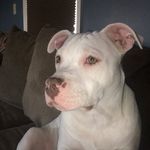 Brian Walker - @briantest01 - Instagram
