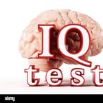 Gaurav Kumar - @_brian_test - Instagram