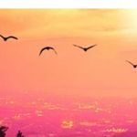 Brian Thacker - @brian.thacker.9231 - Instagram