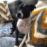 Brian Thorpe - @brian.thorpe.1232 - Instagram