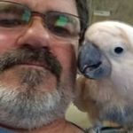 Brian Throckmorton - @happy_rock_pets - Instagram