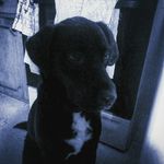 @brian.tighe2 - Instagram