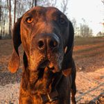 Brian Timberlake - @brian.timberlake1 - Instagram