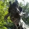 Brian Tobin - @brian.tobin01 - TikTok