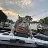 briantobin6 - @brian_tobin - TikTok