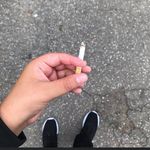 Brian Tokar - @brian.tokar - Instagram