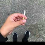 @el_brian_tokar - Instagram