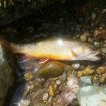 Brian Stoker - @brian.stoker1024 - Instagram
