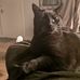 Brian Tokien - Facebook