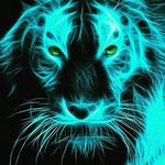 EZBrian - @briantolin - Instagram