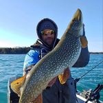 Brian Tomes - @brian.tomes.503 - Instagram