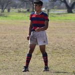 Brian Tonelli - @tonellibrian - Instagram