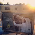 BRIAN tonelli - @briantonelli390 - Instagram