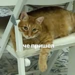 фанат всего СНГ - @brian.tool.senpai - Instagram