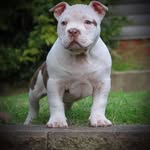 Brian.tooley - @brian.tooley4 - Instagram