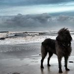 Brian Topp - @topp.brian - Instagram