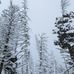 Bryan Topp - Facebook