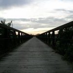 Brian Torpy - @torpytorpytours - Instagram