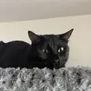 Brian - @brian.toups - TikTok