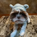 Brian Towle - Facebook